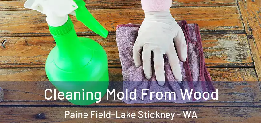  Cleaning Mold From Wood Paine Field-Lake Stickney - WA