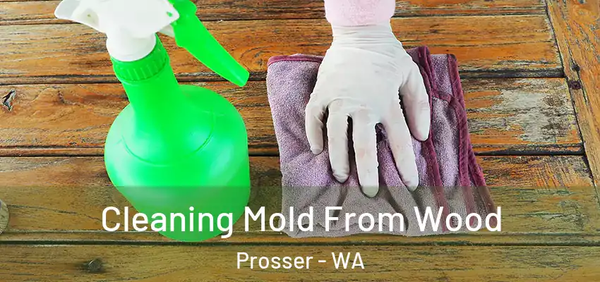 Cleaning Mold From Wood Prosser - WA