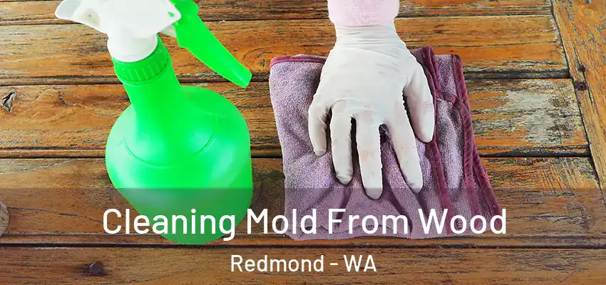  Cleaning Mold From Wood Redmond - WA