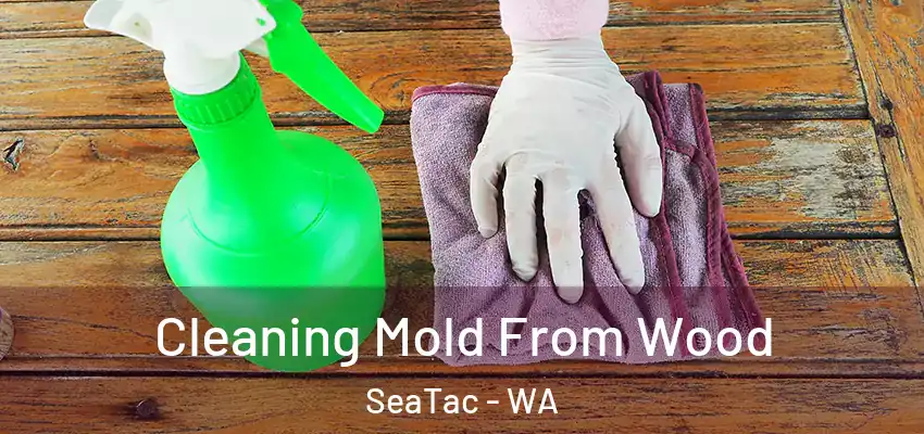  Cleaning Mold From Wood SeaTac - WA