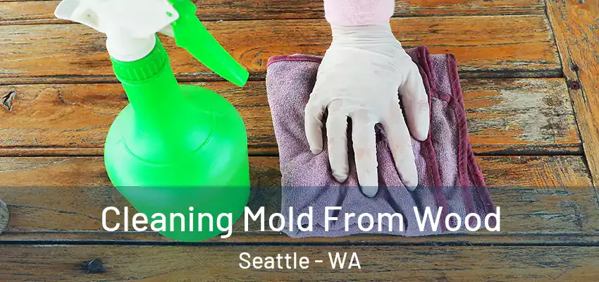  Cleaning Mold From Wood Seattle - WA