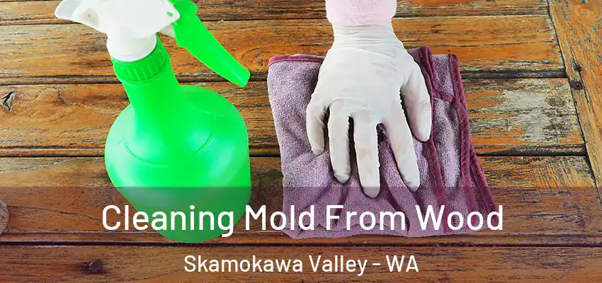  Cleaning Mold From Wood Skamokawa Valley - WA