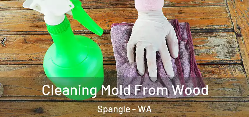  Cleaning Mold From Wood Spangle - WA
