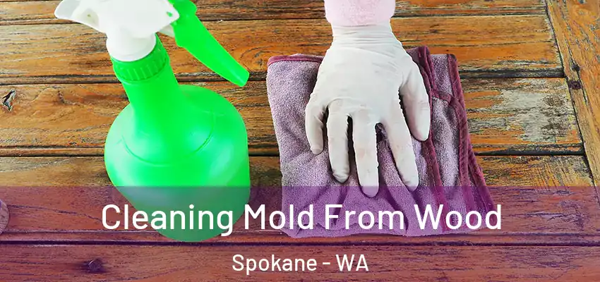  Cleaning Mold From Wood Spokane - WA