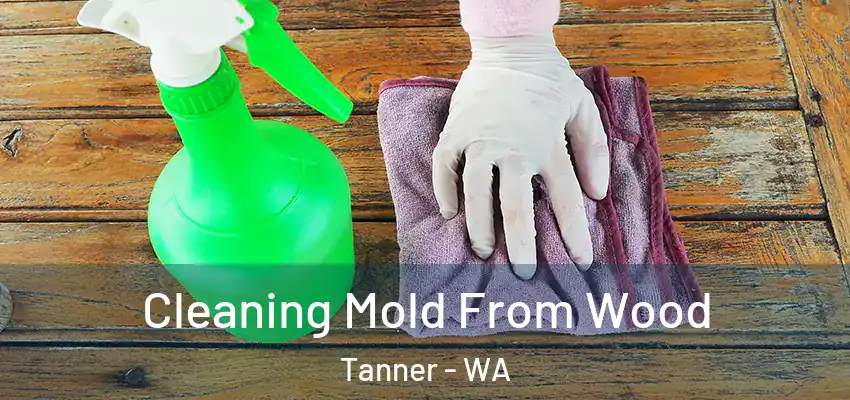  Cleaning Mold From Wood Tanner - WA