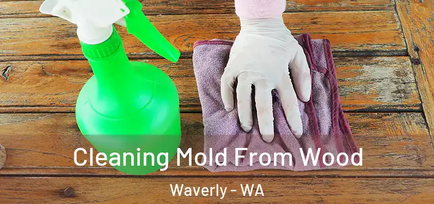 Cleaning Mold From Wood Waverly - WA