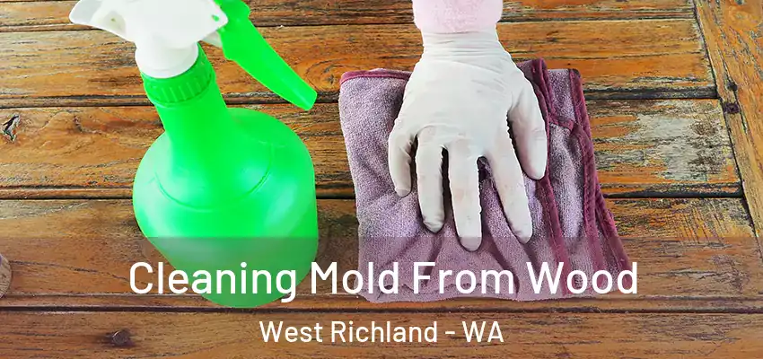 Cleaning Mold From Wood West Richland - WA
