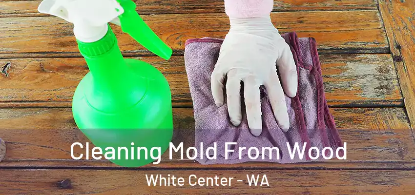  Cleaning Mold From Wood White Center - WA
