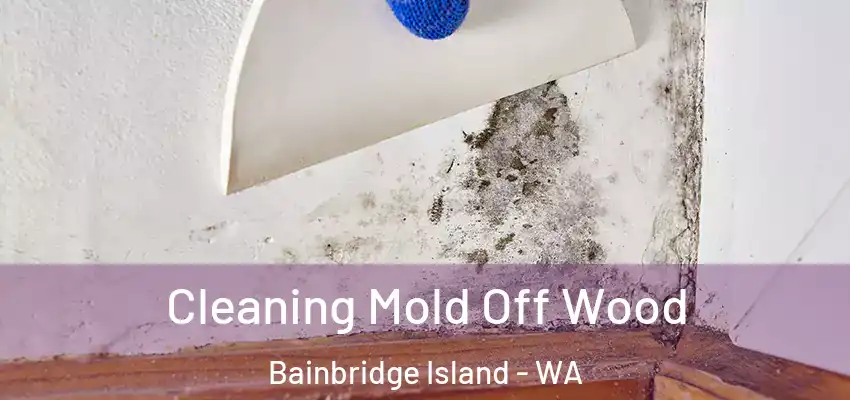 Cleaning Mold Off Wood Bainbridge Island - WA