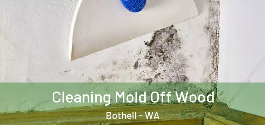  Cleaning Mold Off Wood Bothell - WA