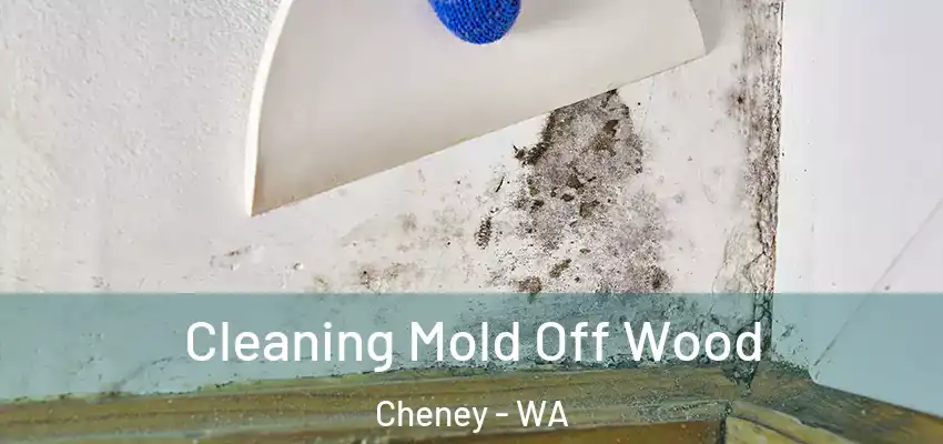  Cleaning Mold Off Wood Cheney - WA