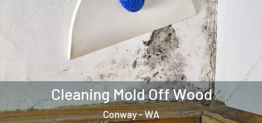  Cleaning Mold Off Wood Conway - WA