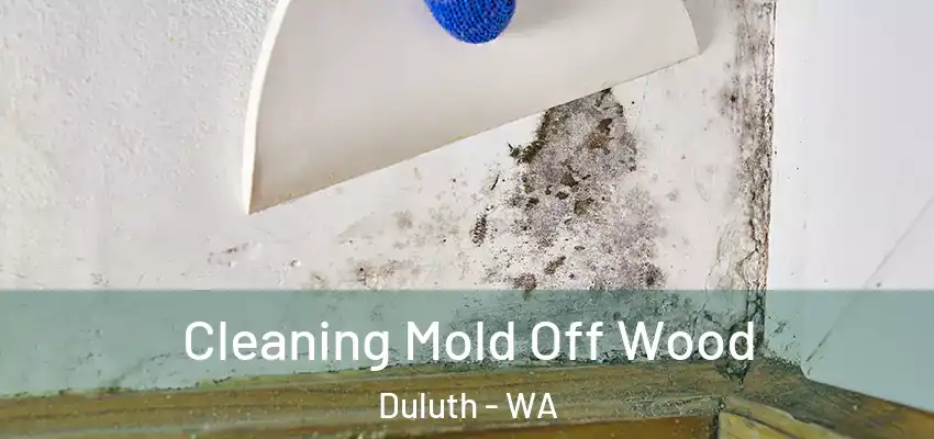  Cleaning Mold Off Wood Duluth - WA