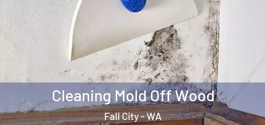  Cleaning Mold Off Wood Fall City - WA
