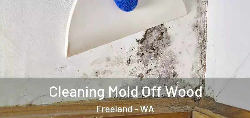  Cleaning Mold Off Wood Freeland - WA