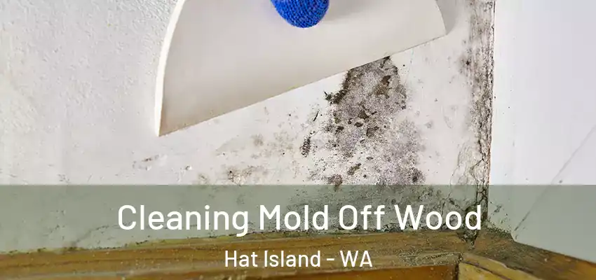  Cleaning Mold Off Wood Hat Island - WA