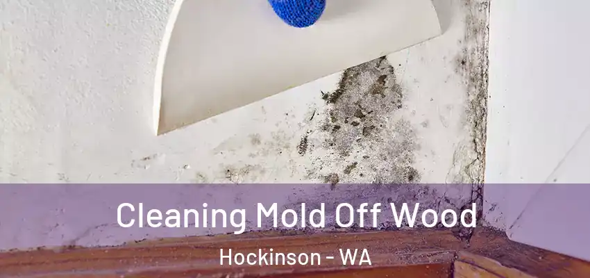  Cleaning Mold Off Wood Hockinson - WA