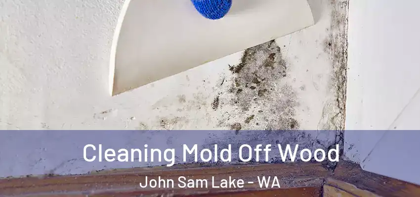  Cleaning Mold Off Wood John Sam Lake - WA