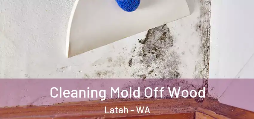  Cleaning Mold Off Wood Latah - WA