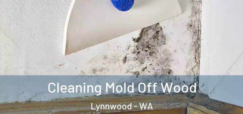  Cleaning Mold Off Wood Lynnwood - WA