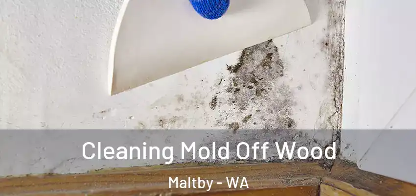  Cleaning Mold Off Wood Maltby - WA
