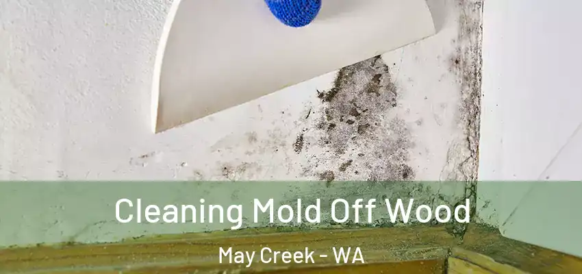  Cleaning Mold Off Wood May Creek - WA