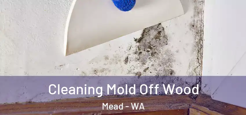 Cleaning Mold Off Wood Mead - WA
