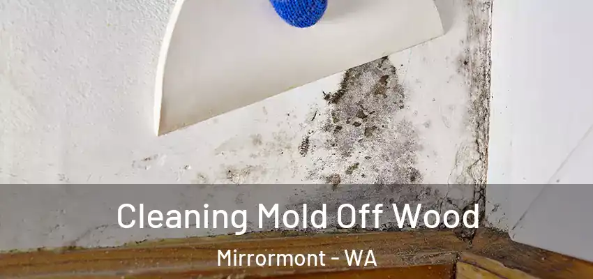  Cleaning Mold Off Wood Mirrormont - WA
