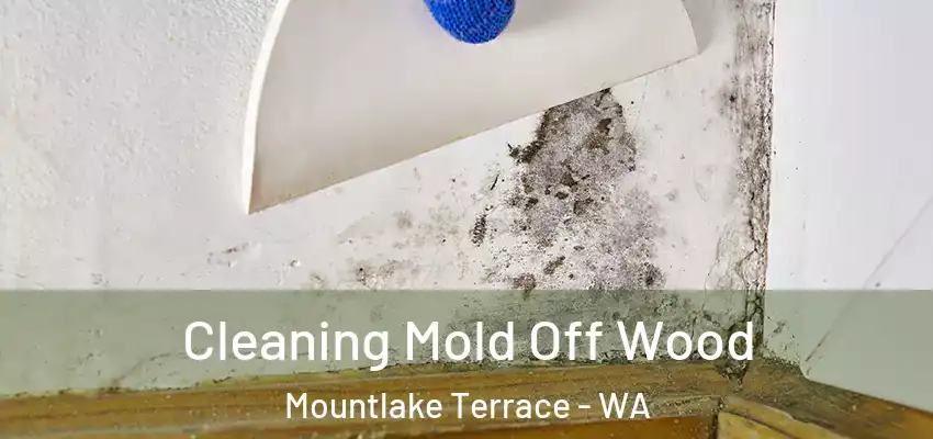  Cleaning Mold Off Wood Mountlake Terrace - WA