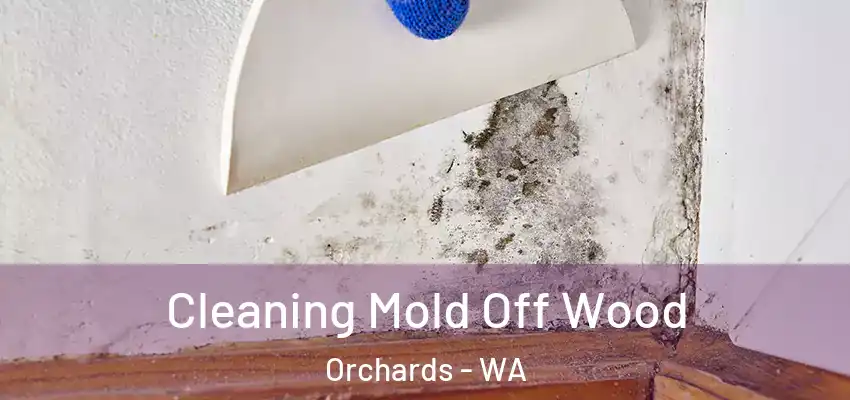  Cleaning Mold Off Wood Orchards - WA