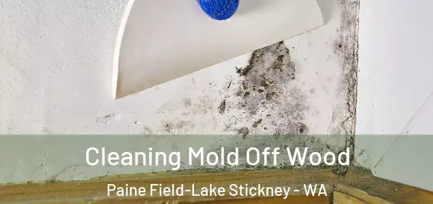  Cleaning Mold Off Wood Paine Field-Lake Stickney - WA