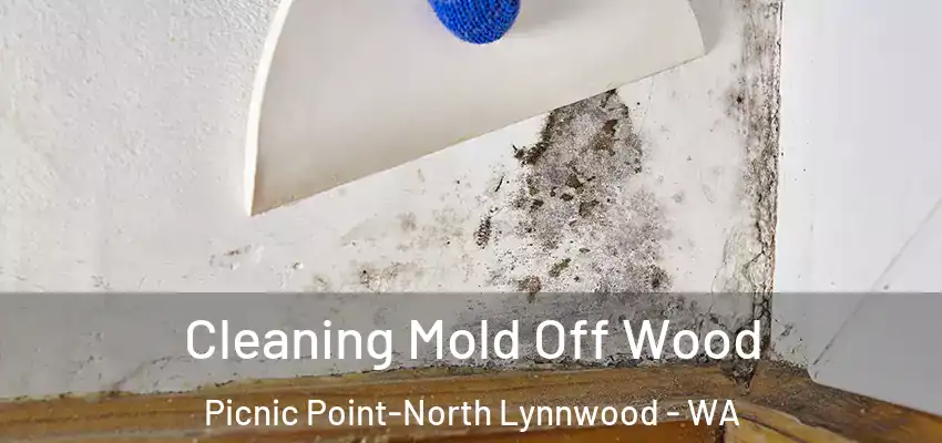  Cleaning Mold Off Wood Picnic Point-North Lynnwood - WA