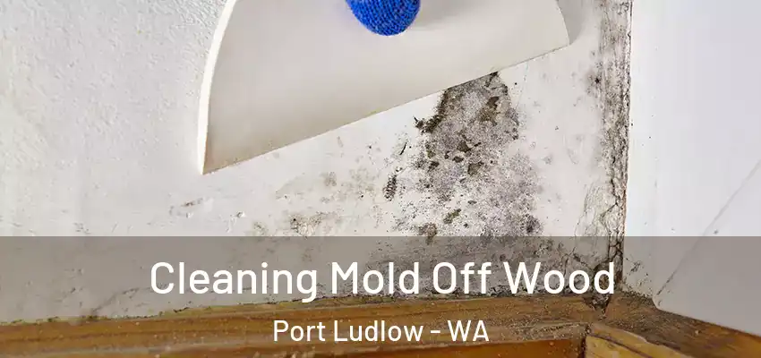 Cleaning Mold Off Wood Port Ludlow - WA