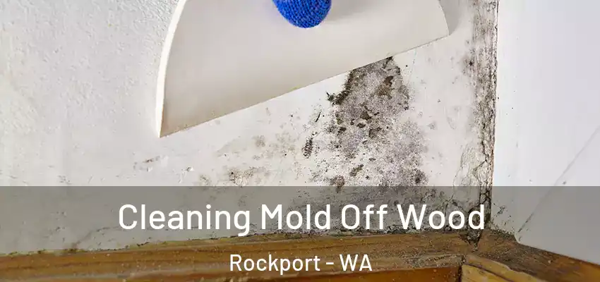  Cleaning Mold Off Wood Rockport - WA