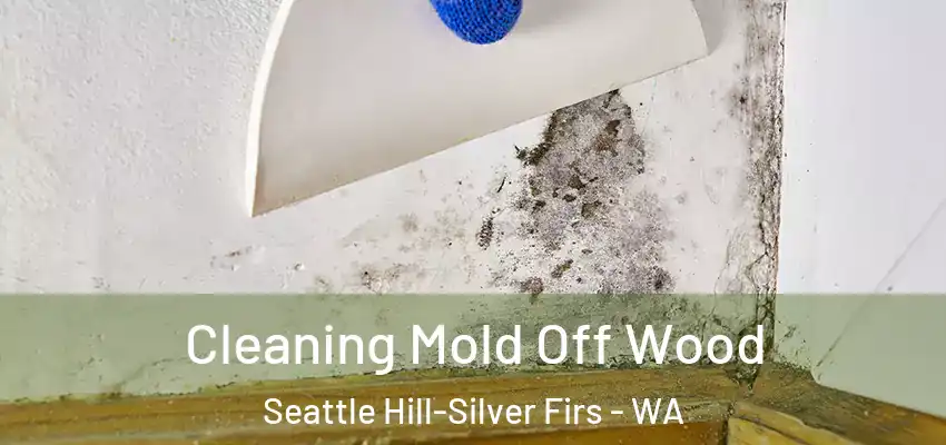  Cleaning Mold Off Wood Seattle Hill-Silver Firs - WA