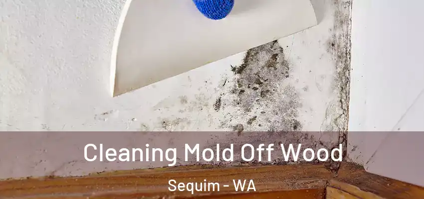  Cleaning Mold Off Wood Sequim - WA