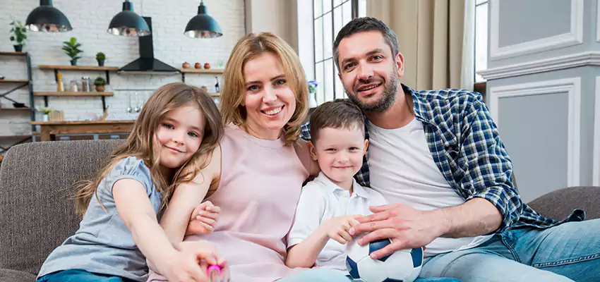 Black Mold Eradication Bellevue