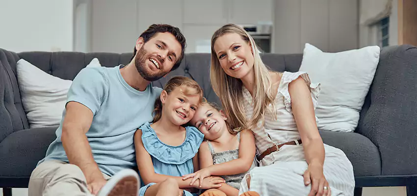 Kill Mold on Drywall Bellevue