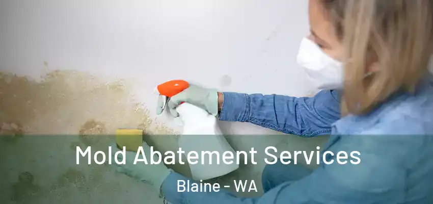  Mold Abatement Services Blaine - WA