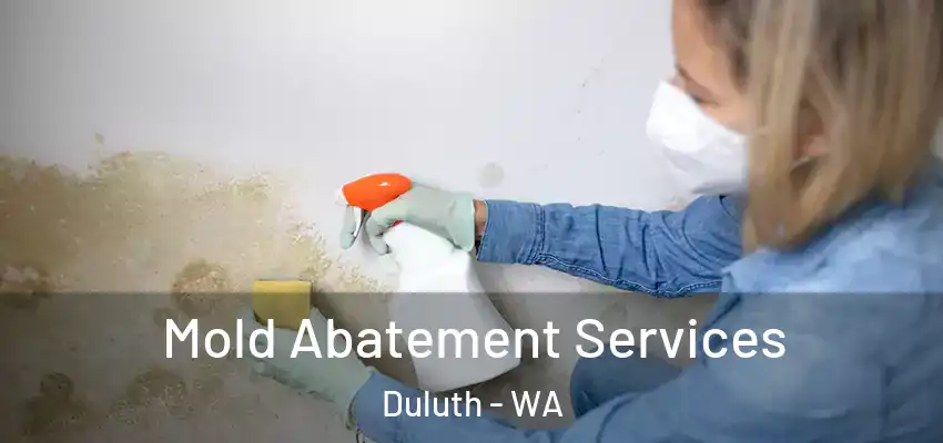  Mold Abatement Services Duluth - WA