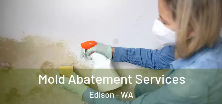  Mold Abatement Services Edison - WA