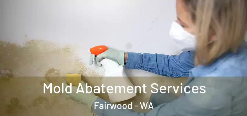  Mold Abatement Services Fairwood - WA