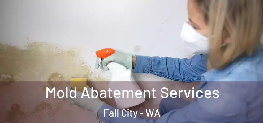  Mold Abatement Services Fall City - WA