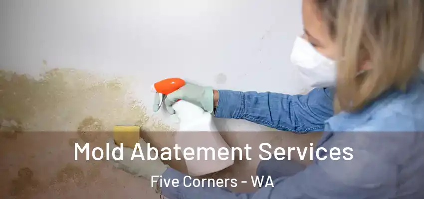  Mold Abatement Services Five Corners - WA