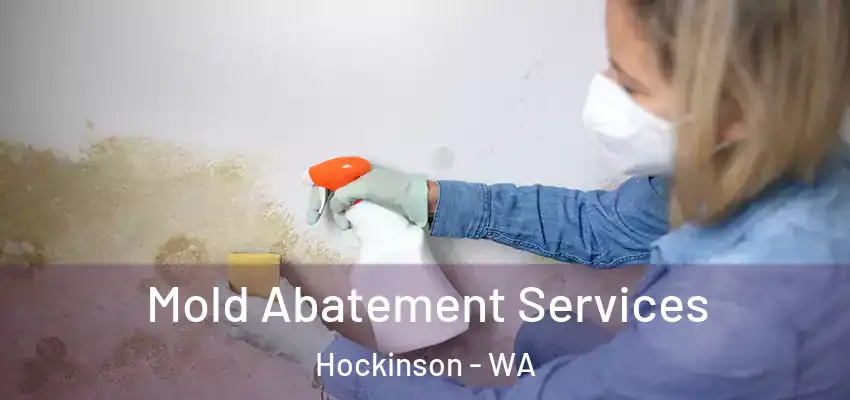  Mold Abatement Services Hockinson - WA