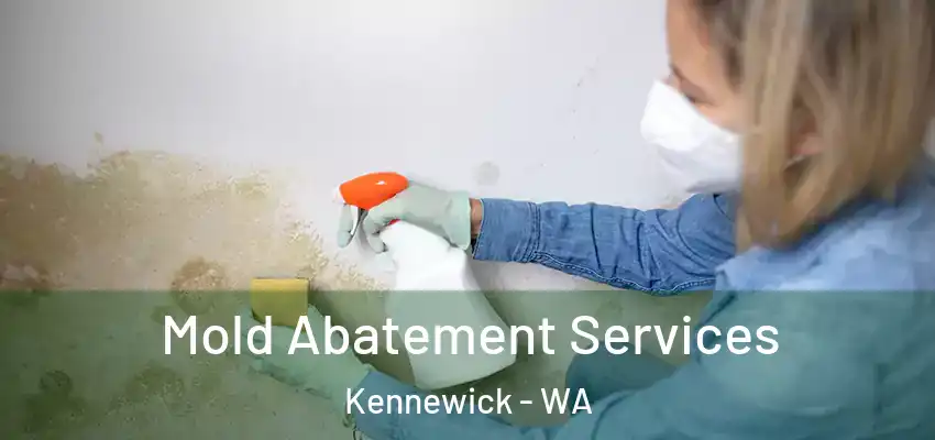  Mold Abatement Services Kennewick - WA