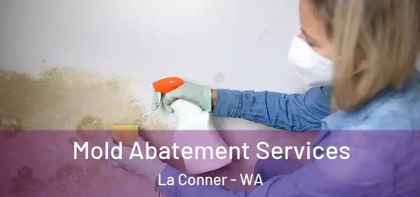  Mold Abatement Services La Conner - WA