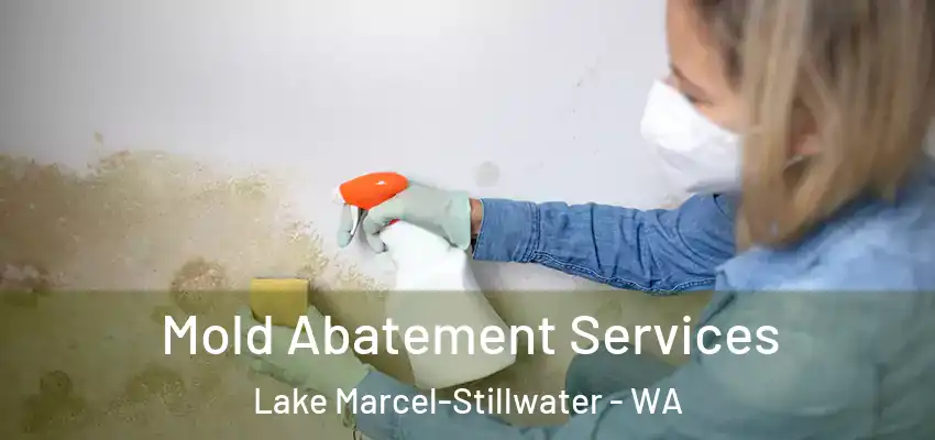 Mold Abatement Services Lake Marcel-Stillwater - WA