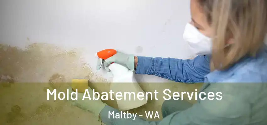  Mold Abatement Services Maltby - WA