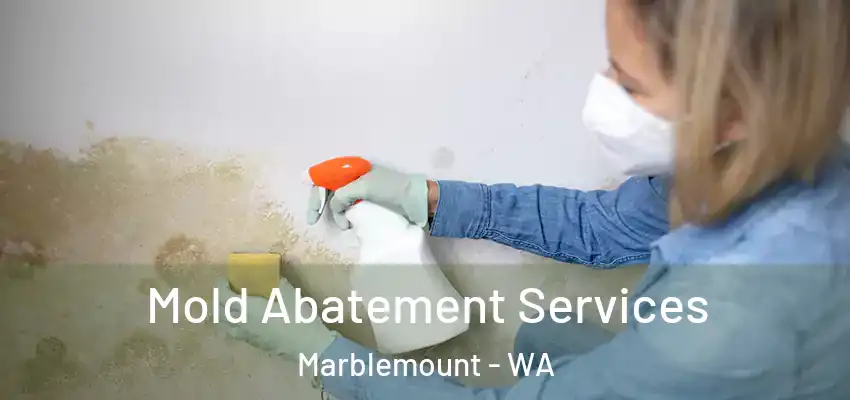  Mold Abatement Services Marblemount - WA